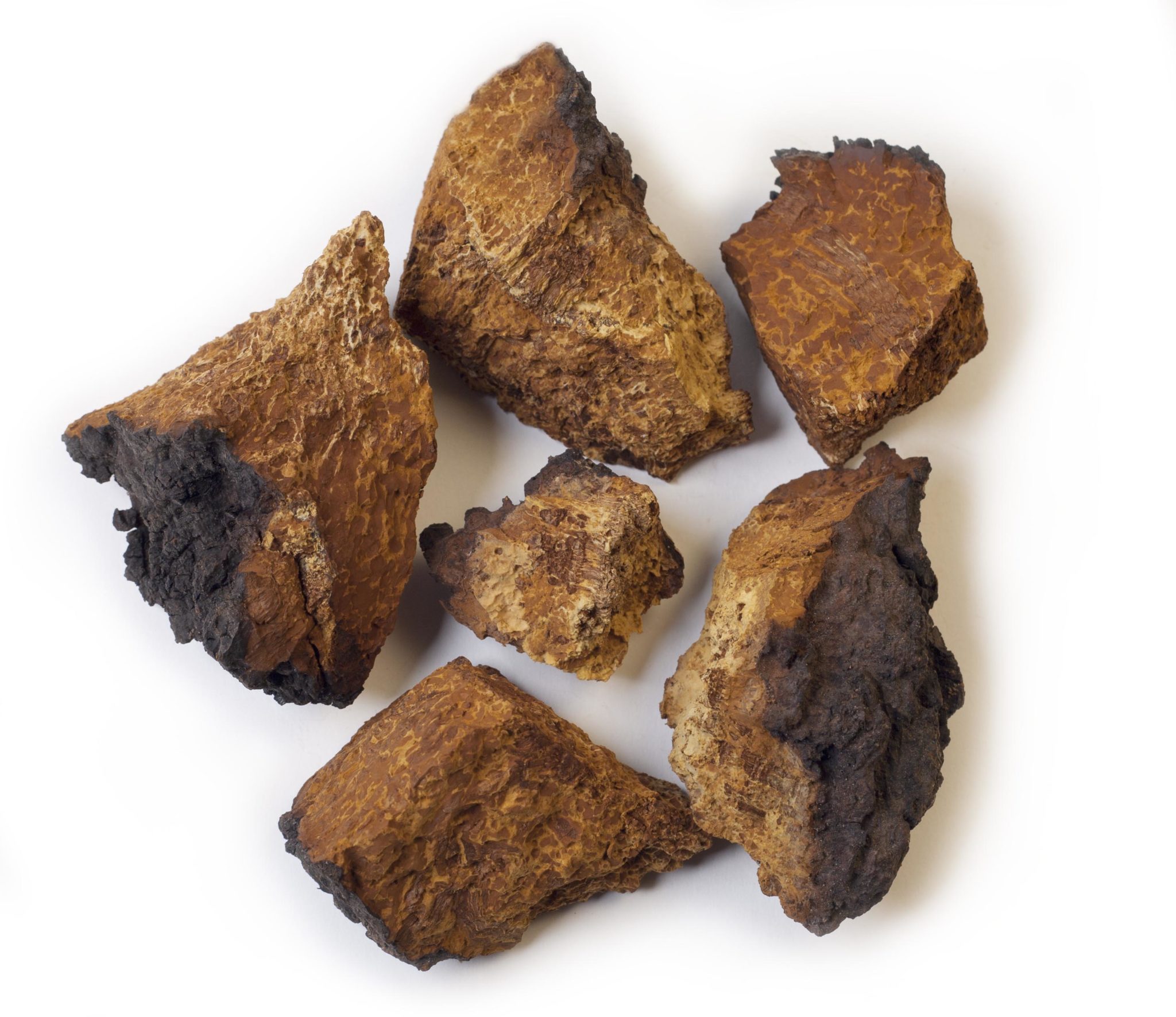 Chaga Pilz Brocken - Superfood Liste